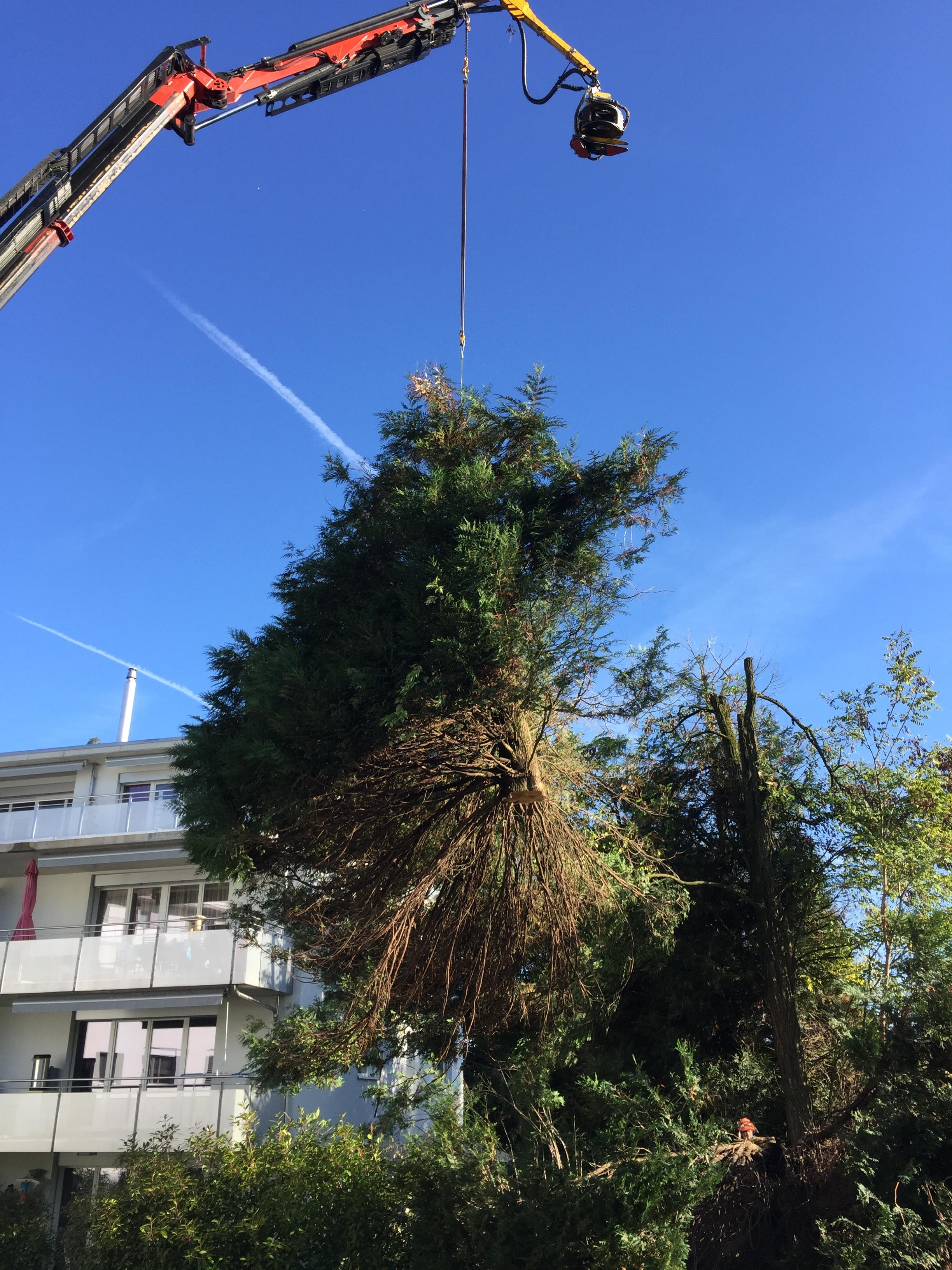 Évacuation de déchets verts par camion grue dans le Jura — SAS POLYVIER